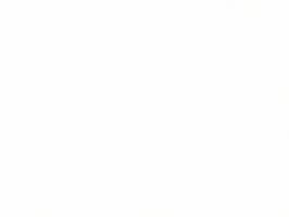 INEDIB GIF