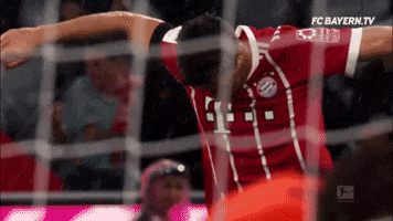 Robert Lewandowski X GIF by FC Bayern Munich
