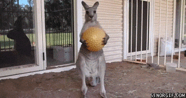 source.gif