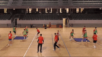 Handball GIF