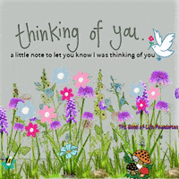 Give Thinking Of You GIF by The Seed of Lyfe Foundation