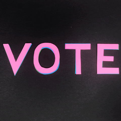 Voting Election 2020 GIF by Julie Smith Schneider