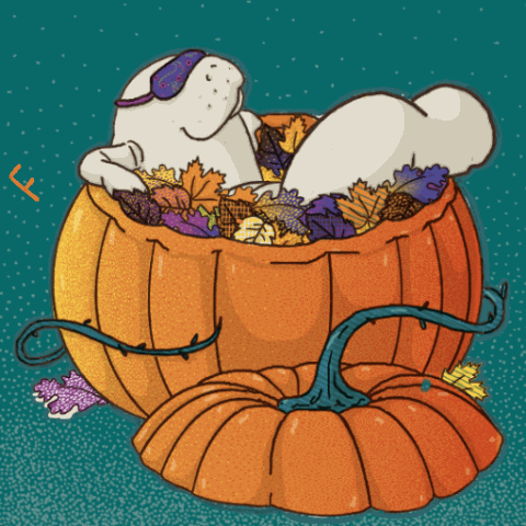Halloween Fall GIF by Tostoini