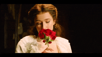 Phantom Of The Opera Love GIF by Musical Vienna