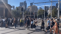 Chaos as Sydney's Entire Train Network Down Due to Communications Issue