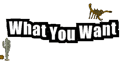 What You Want Sticker