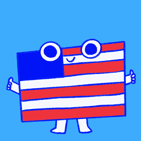 American Flag Election GIF by Creative Courage