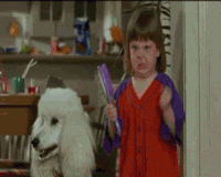 Explore temper tantrum GIFs