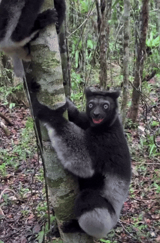 Oh Yeah Oooo GIF by CTGStudioz