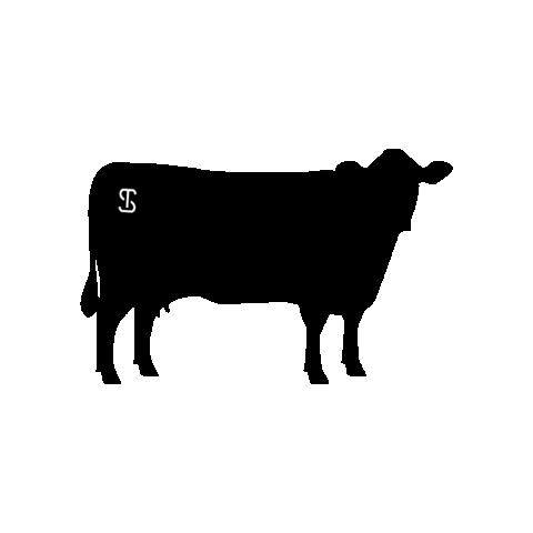 Boi Churrasco Sticker by Rincon Del Sarandy