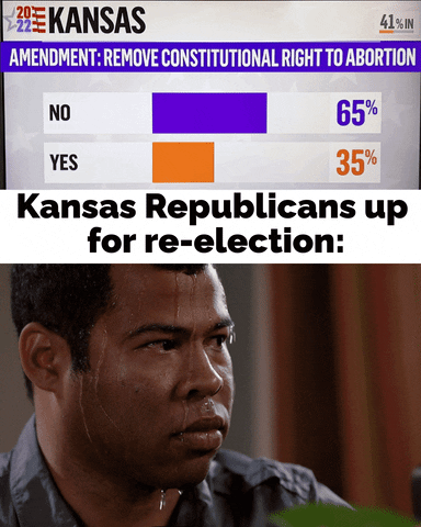 TV gif. Split screen. At the top, we see a screenshot of the results of the 2022 Kansas amendment to remove the constitutional right to abortion. The ar graph shows the “no” votes at 65% and the “yes” votes at 35%. At the bottom, we see Jordan Peele of Key & Peele dripping with excessive sweat and the text, “Kansas Republicans up for re-election.”