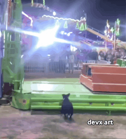 Jumping Ferris Wheel GIF by DevX Art
