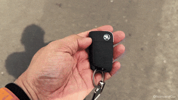 Driving Lets Go GIF by Namaste Car
