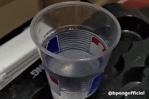 Smash Beer Pong GIF by BPONGofficial