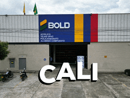 Cali GIF by BoldCol