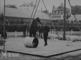 200.gif