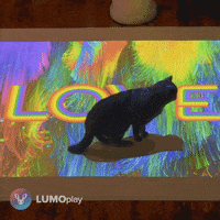 Cat Love GIF by LUMOplay