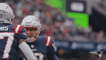 Damien Harris Football GIF by New England Patriots