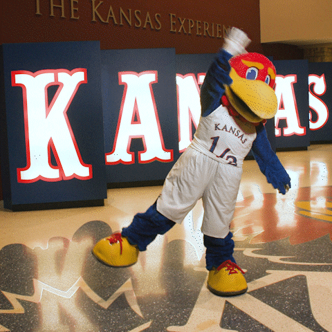 Mascots Hello GIF by University of Kansas