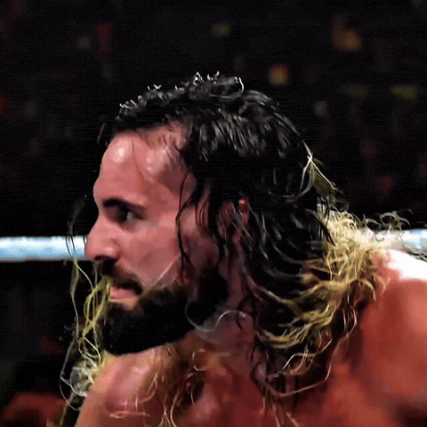 Seth Rollins Wwe GIF