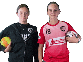 Scv Sticker by SC Volketswil