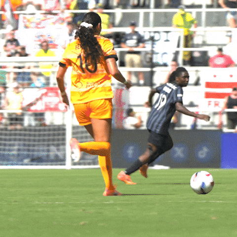 Washington Spirit GIF by National Women's Soccer League