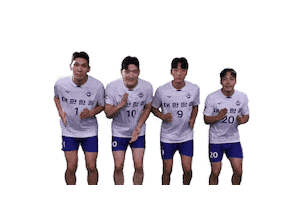 Jumbos Koreanair Sticker by kal_jbos