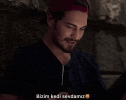 Cagatay Ulusoy Cat GIF