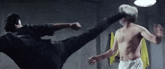 Kicks GIF