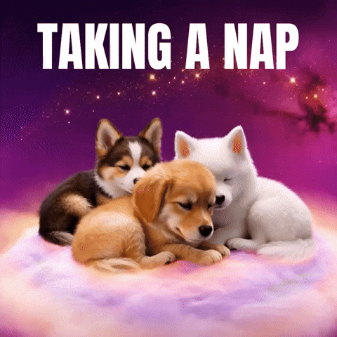 Taking a Nap
