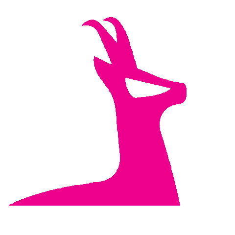 Pink Opel Sticker by Autohaus Scheichl