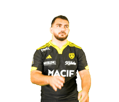 Rugby Sticker by Stade Rochelais