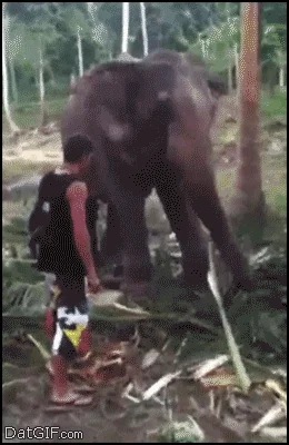 https://media2.giphy.com/media/sBmuJrF6i5OOA/giphy.webp?cid=ecf05e47g20potz26jaot7jogiao7reuwrh540k2zxxnsj98&rid=giphy.webp