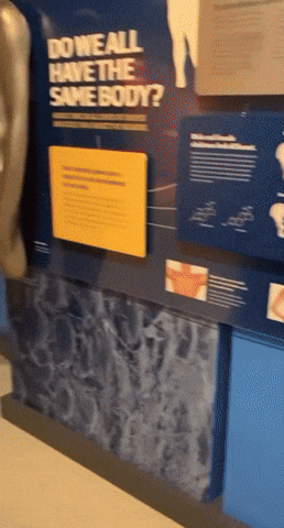 Smell Sniff GIF by aldo2swag