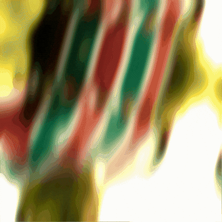 Fluminense GIF