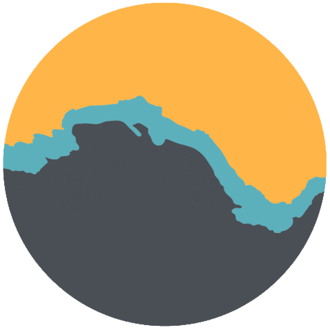 Flow Health & Performance Sticker