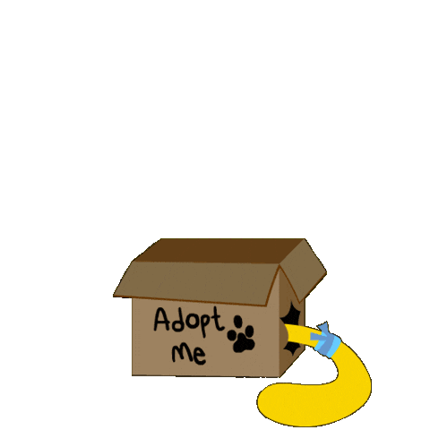 Nanieko Drip Sticker