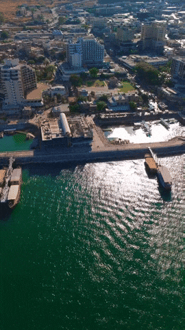 Amir Jayousi GIF