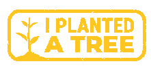 One Tree Planted Sticker