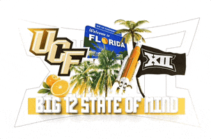 Flag Rocket GIF by UCF Knights