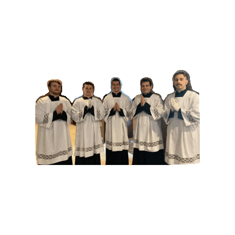 stthomasmoreusc Sticker