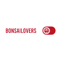 Bonsaisushive food japan foodie sushi Sticker