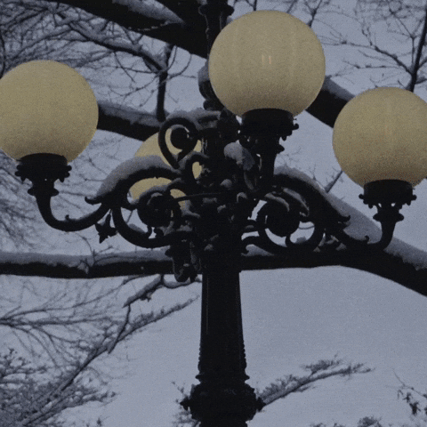 Happy Holidays GIF