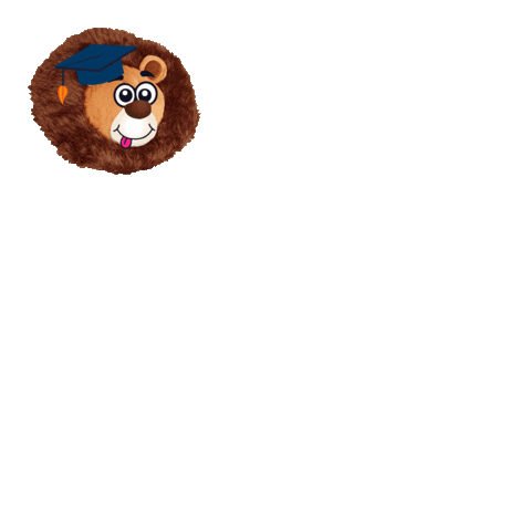 MDIS Sticker