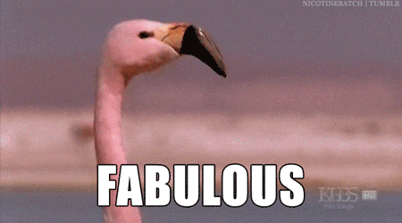 Feeling Fabulous GIFs - Get the best GIF on GIPHY