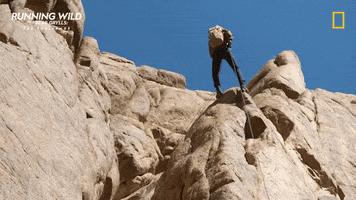 Bradley Cooper Adventure GIF by National Geographic Channel