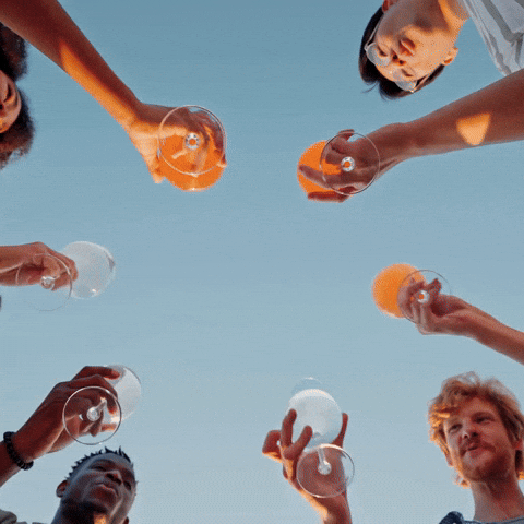 Celebration Friends GIF by Oi