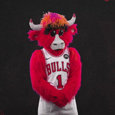 Red Bull No GIF by Chicago Bulls