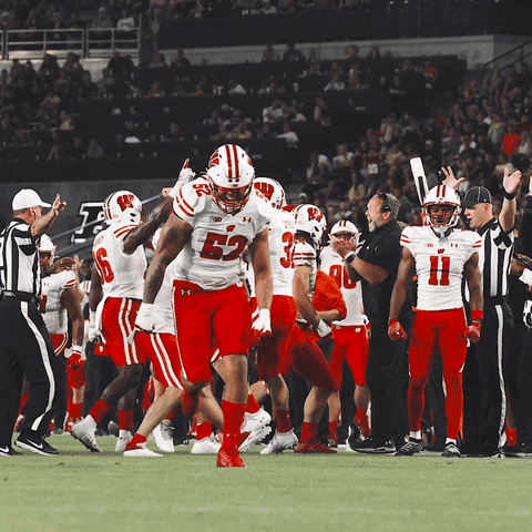 College Football Sport GIF by Wisconsin Badgers