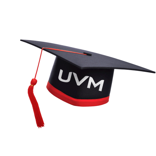 Universidad del Valle de México Sticker